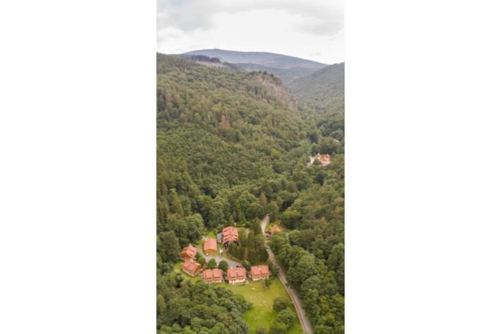 Ferienwohnung Forsthaus Am Brocken, 55 Qm, 2 Schlafzimmer F7 Ilsenburg Eksteriør billede